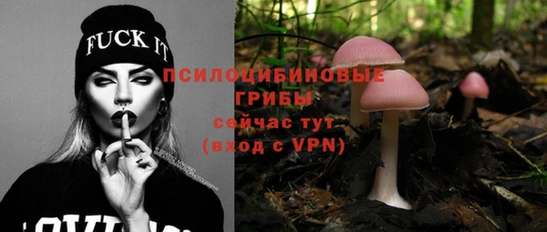 амфетамин Ельня