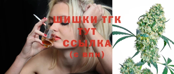 стафф Елизово