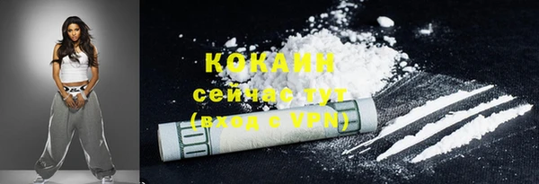 стафф Елизово