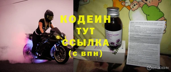 стафф Елизово