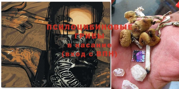 стафф Елизово