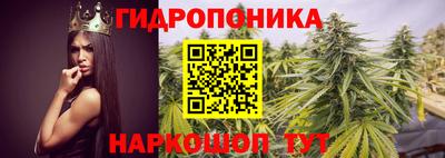 стаф Иваново