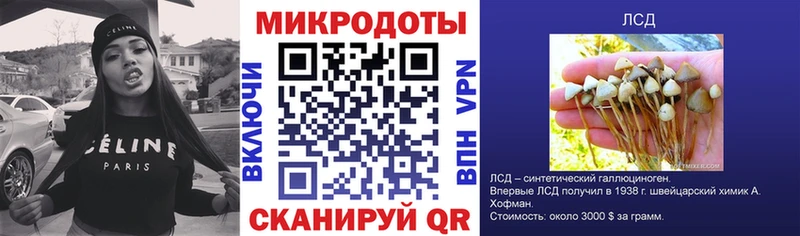 Галлюциногенные грибы Magic Shrooms  Череповец 